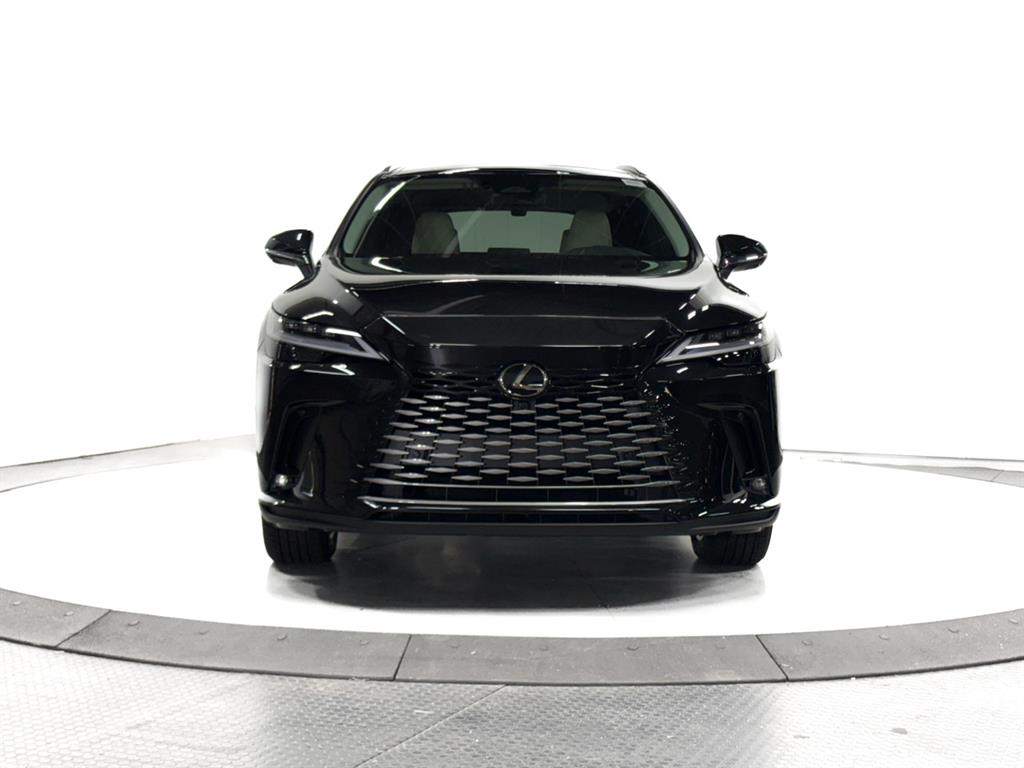 2025 Lexus RX 350 Luxury AWD photo 2