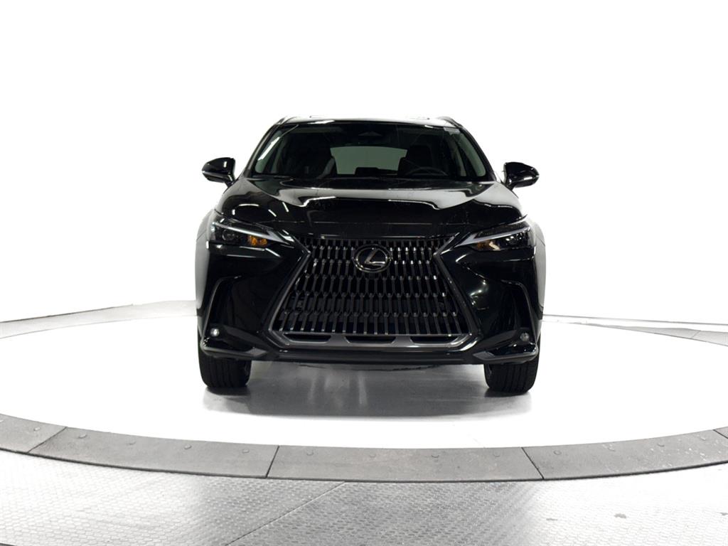 2026 Lexus NX Premium photo 2