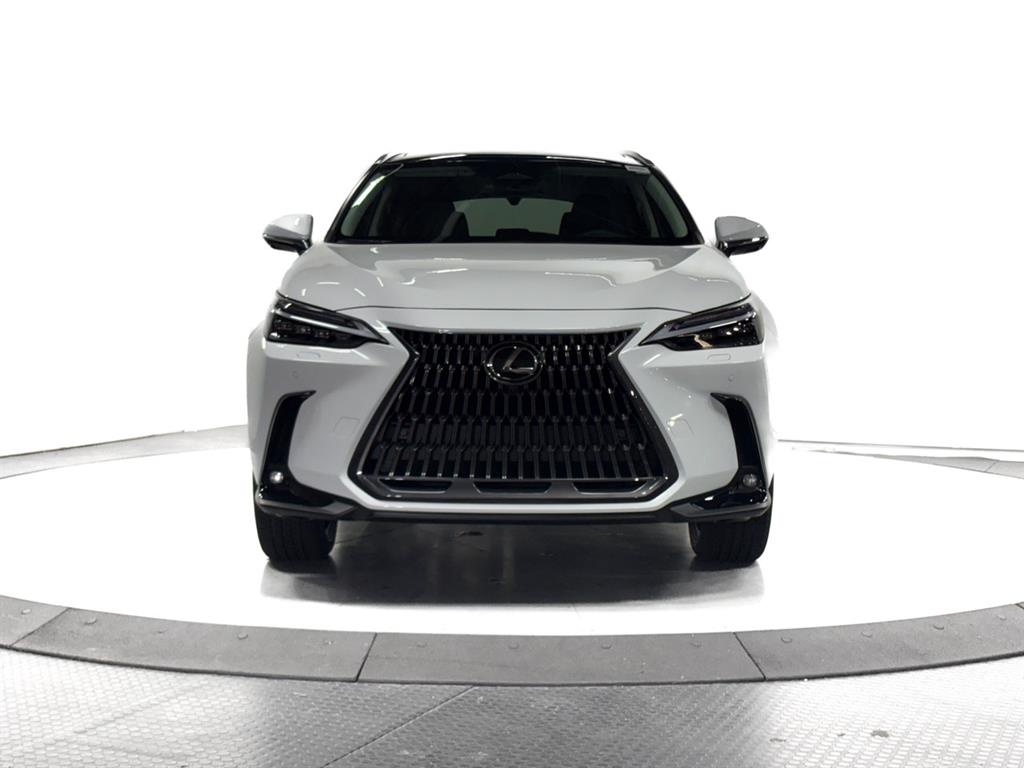 2026 Lexus NX 350 Luxury AWD photo 2