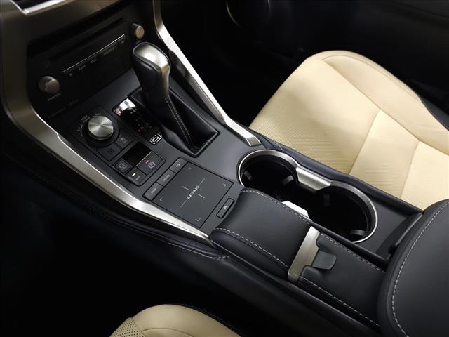 2020 Lexus NX 300