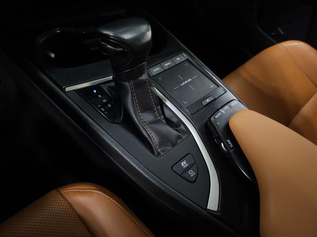 2019 Lexus UX 250h UX 250H