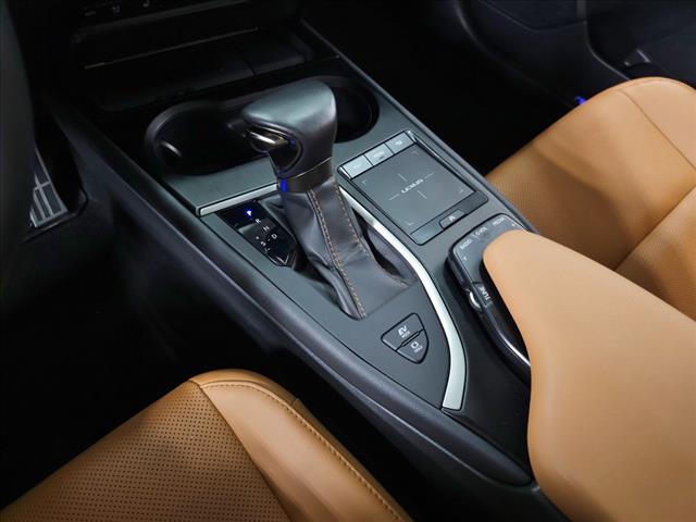 2020 Lexus UX 250h Luxury