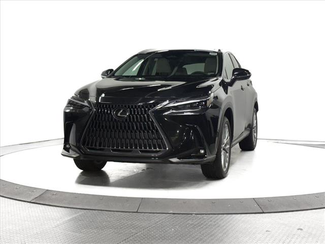 2025 Lexus NX 350 Luxury