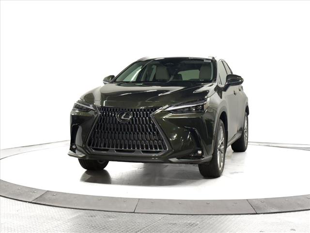 2025 Lexus NX 350 Luxury