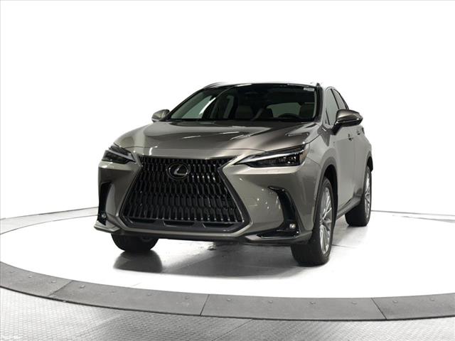 2025 Lexus NX 350 Luxury