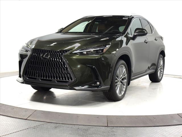 2025 Lexus NX 350 Luxury