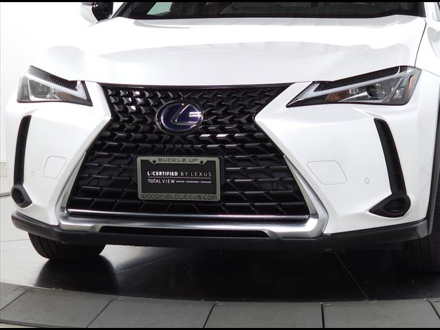 2020 Lexus UX 250h