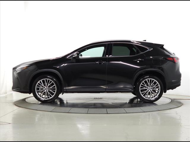 2025 Lexus NX 350h Premium