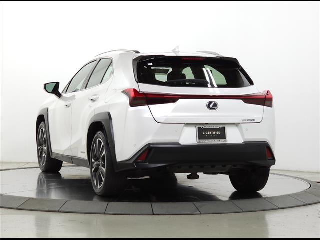 2020 Lexus UX 250h 