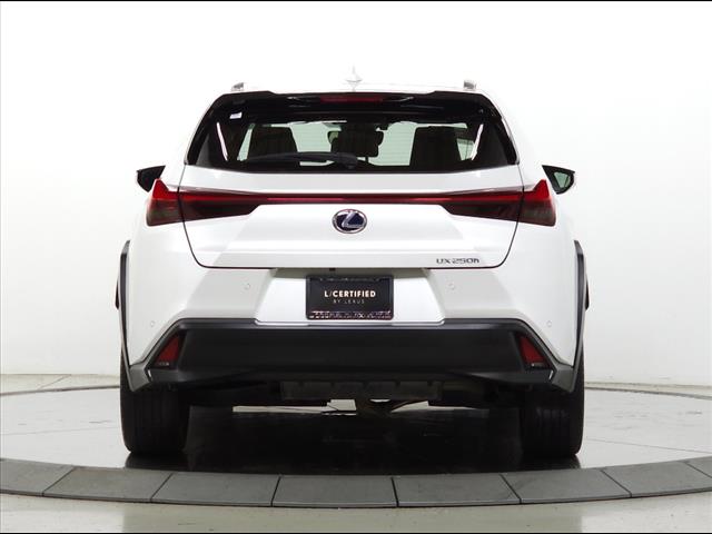 2020 Lexus UX 250h 