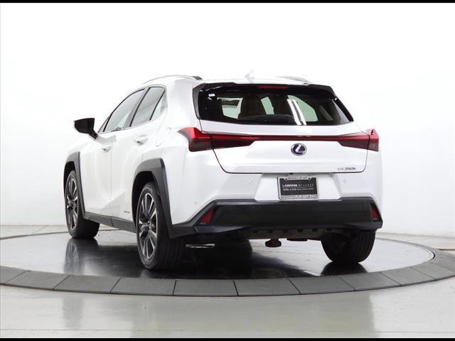 2019 Lexus UX 250h UX 250H
