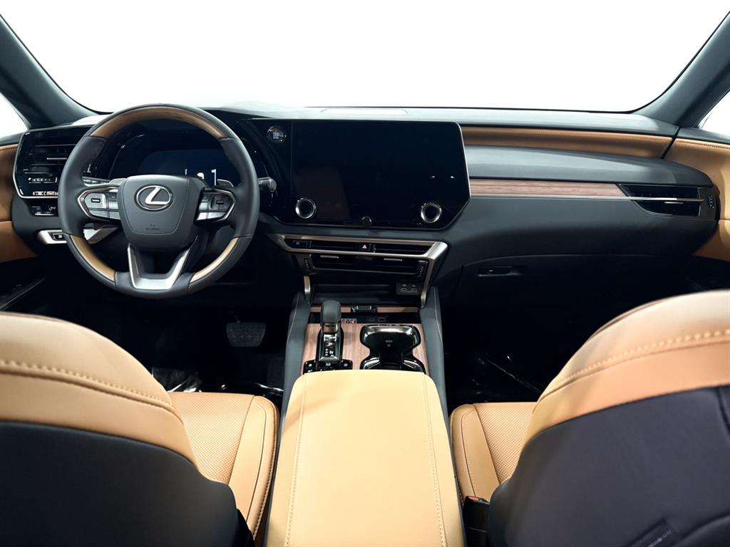 2025 Lexus RX 350 Premium AWD photo 3