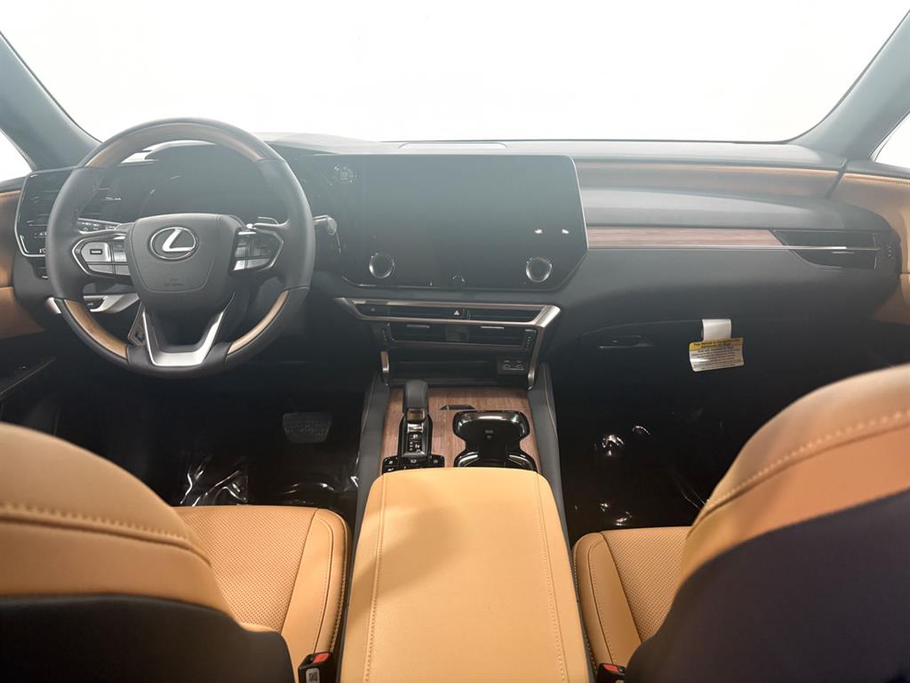 2025 Lexus RX 350 Premium AWD photo 6