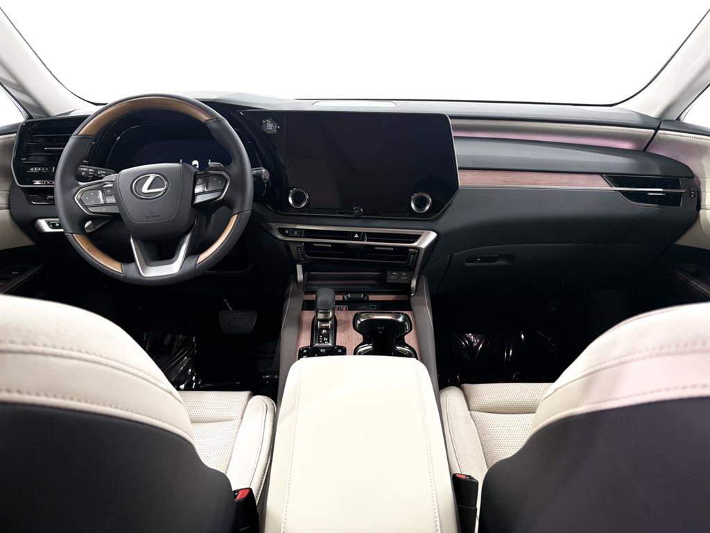 2025 Lexus RX 350 Luxury AWD photo 6