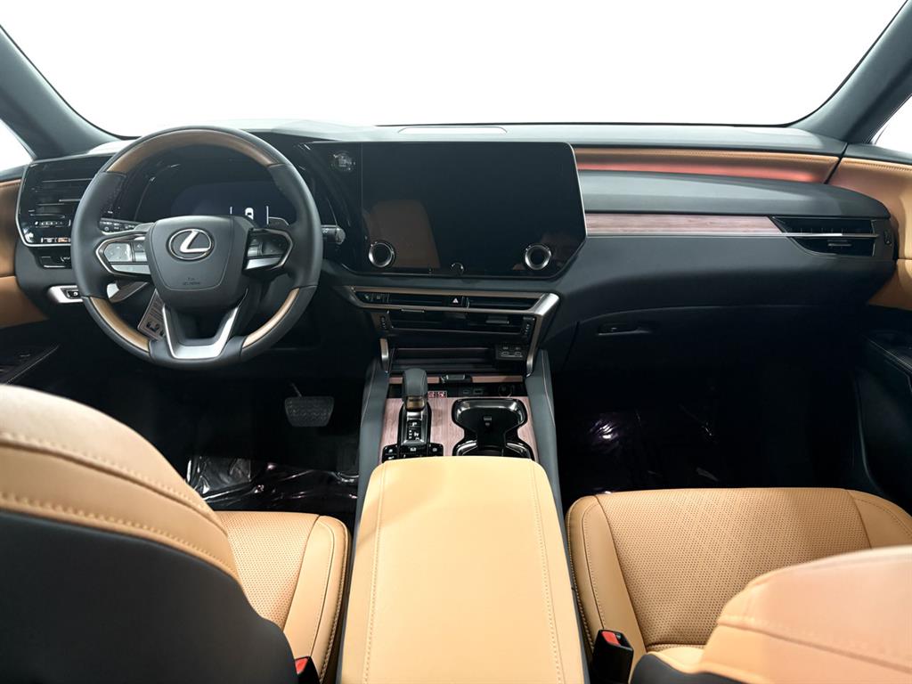 2025 Lexus RX 350 Premium photo 6