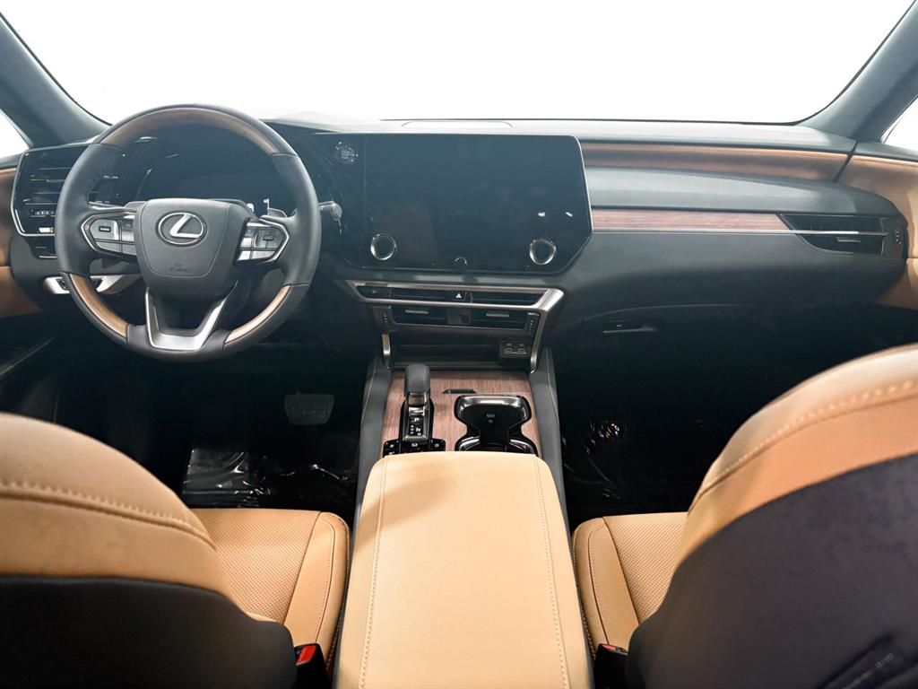 2025 Lexus RX 350 Premium AWD photo 6