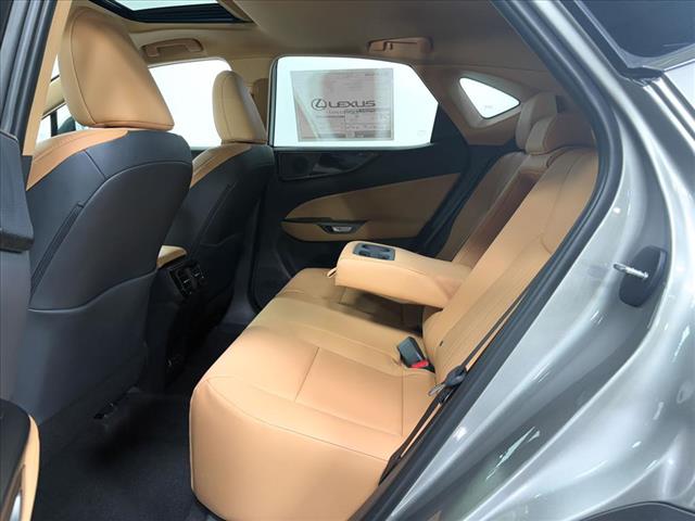 2025 Lexus NX 250