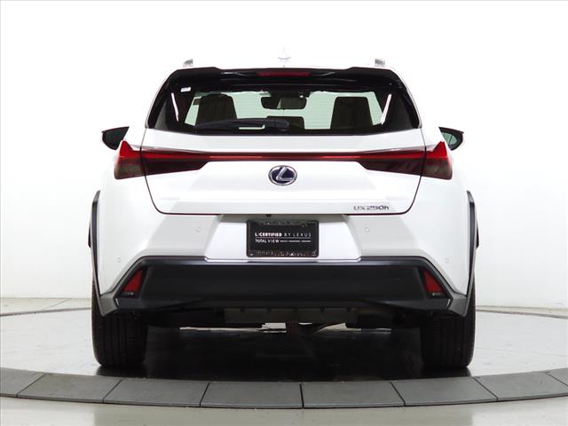 2020 Lexus UX 250h