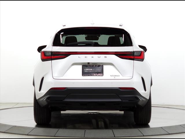 2022 Lexus NX 250 Premium