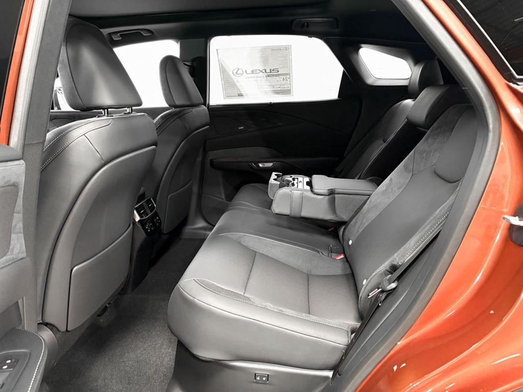 2025 Lexus RX 350 Luxury AWD photo 6