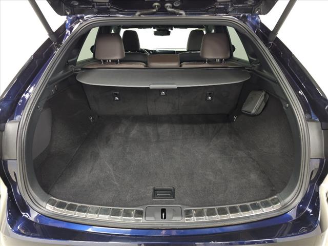 2023 Lexus RX 350h Luxury