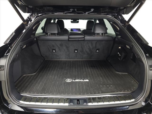 2019 Lexus RX 350 F SPORT
