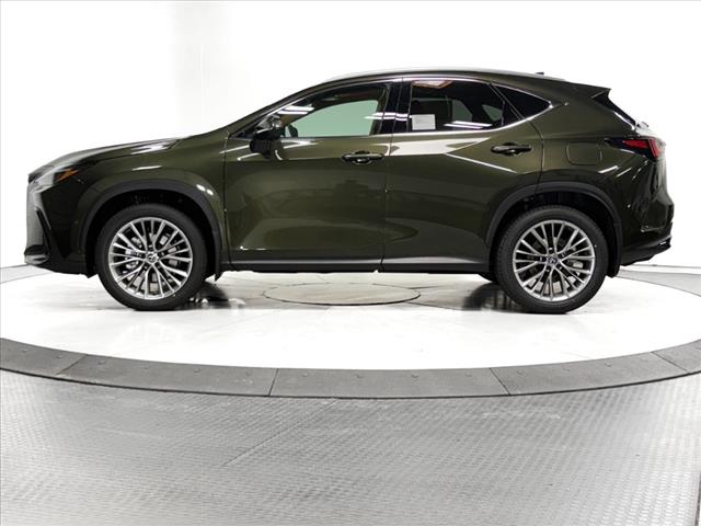 2025 Lexus NX 350 Luxury