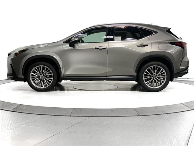 2025 Lexus NX 350 Luxury