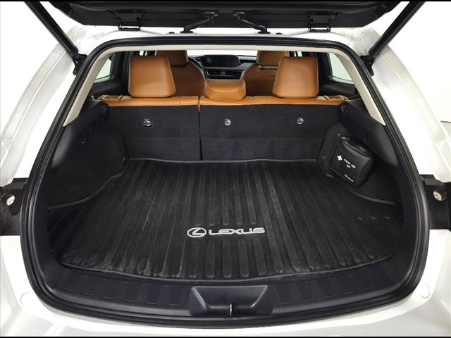 2019 Lexus UX 250h UX 250H