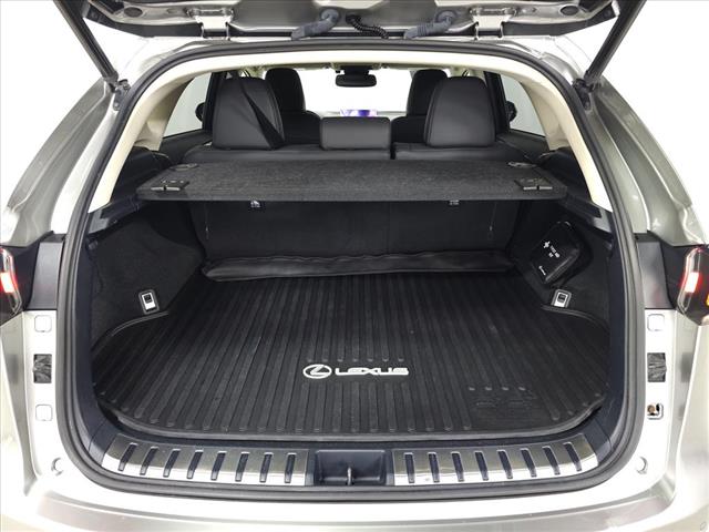 2019 Lexus NX 300 PREMIUM