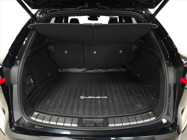 2024 Lexus NX 450h+