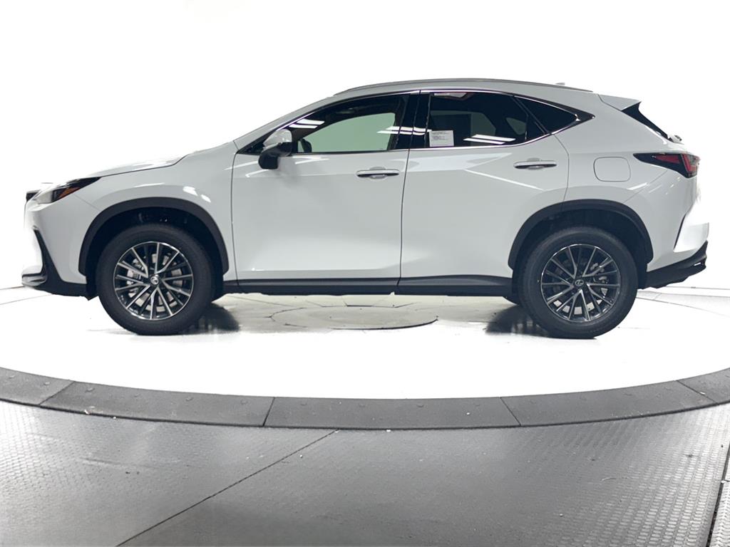 2026 Lexus NX 350 photo 6
