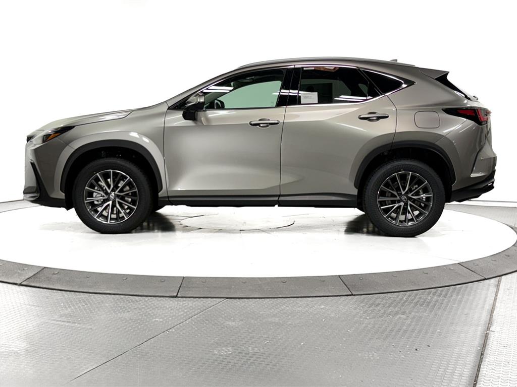 2026 Lexus NX 350 photo 7