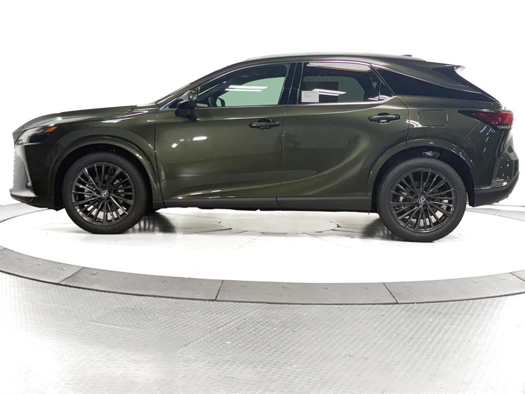 2025 Lexus RX 350 Premium AWD photo 8