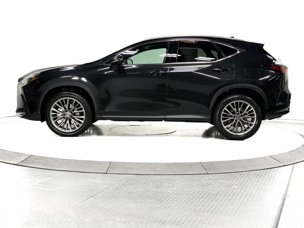 2026 Lexus NX Premium photo 8