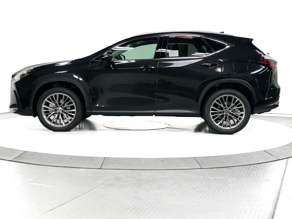 2026 Lexus NX Premium photo 8