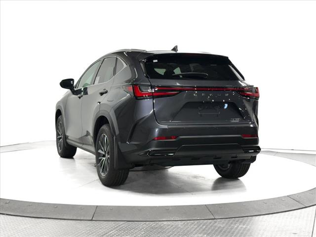 2025 Lexus NX 250