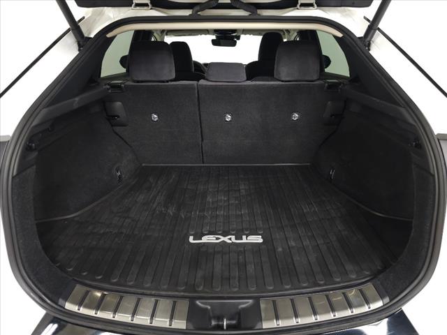 2023 Lexus RZ 450e Luxury