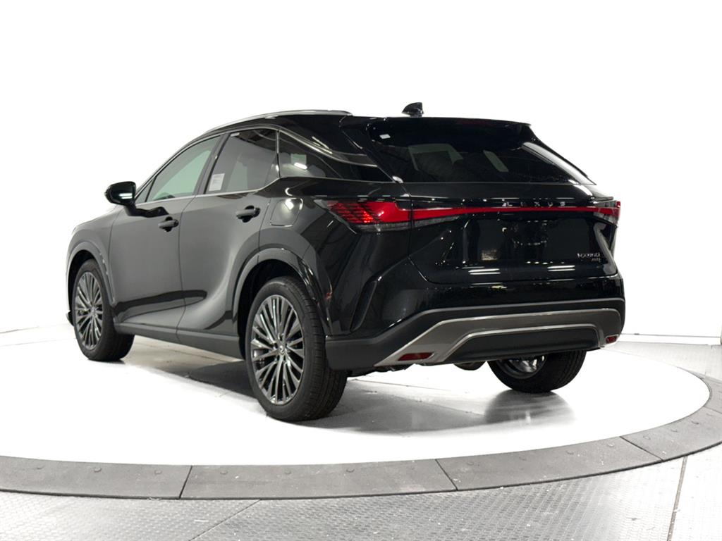 2025 Lexus RX 350 Luxury AWD photo 9