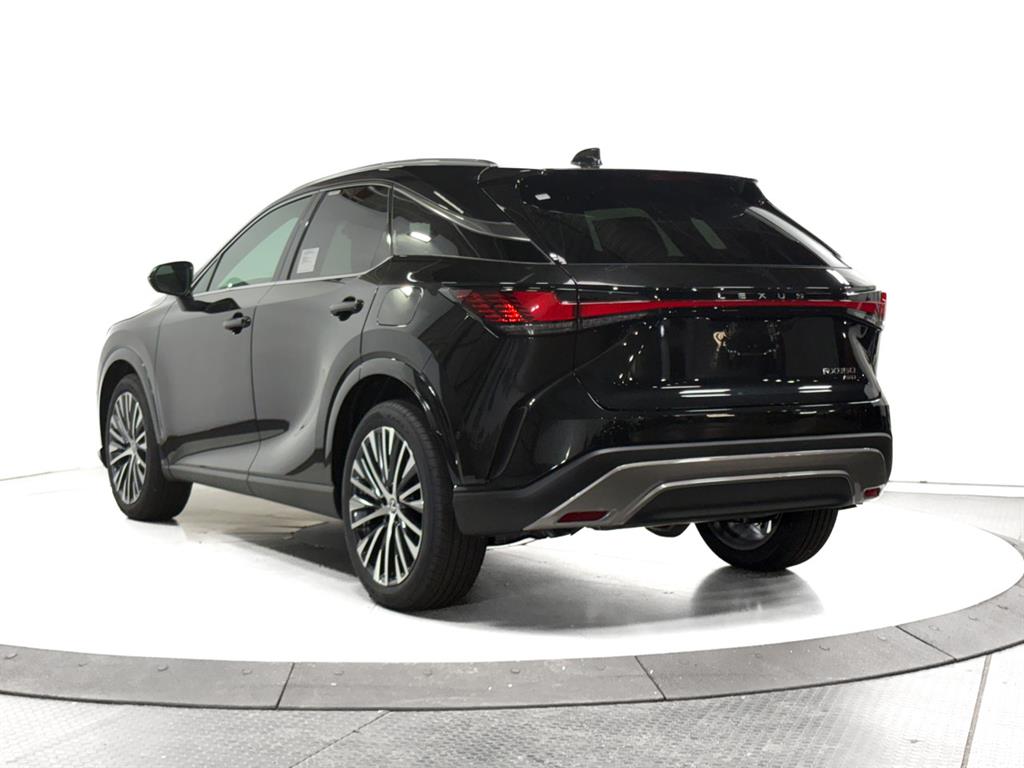 2025 Lexus RX 350 Premium photo 9