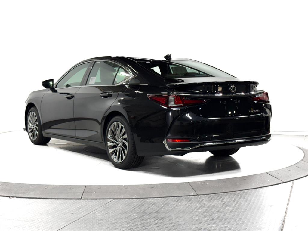 2025 Lexus ES Luxury photo 8