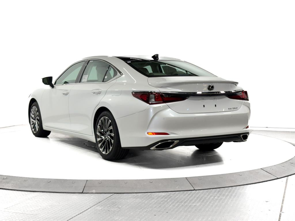 2025 Lexus ES 350 Luxury photo 9