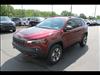 2019 Jeep Cherokee Trailhawk Elite