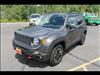 2017 Jeep Renegade Trailhawk