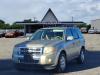 2010 Ford Escape Limited