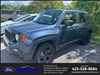 2021 Jeep Renegade Freedom Edtion