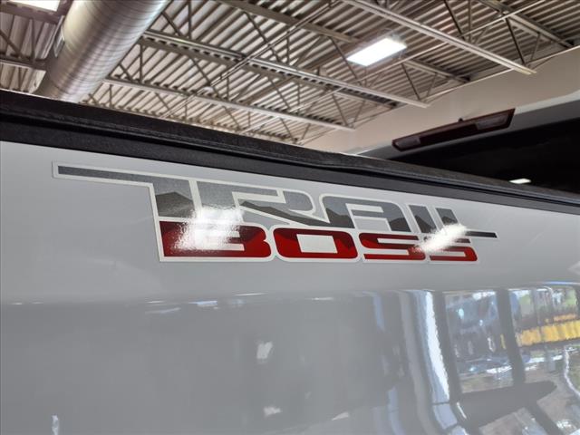 2025 Chevrolet Silverado 1500 4WD CREW CAB 147  CUSTOM