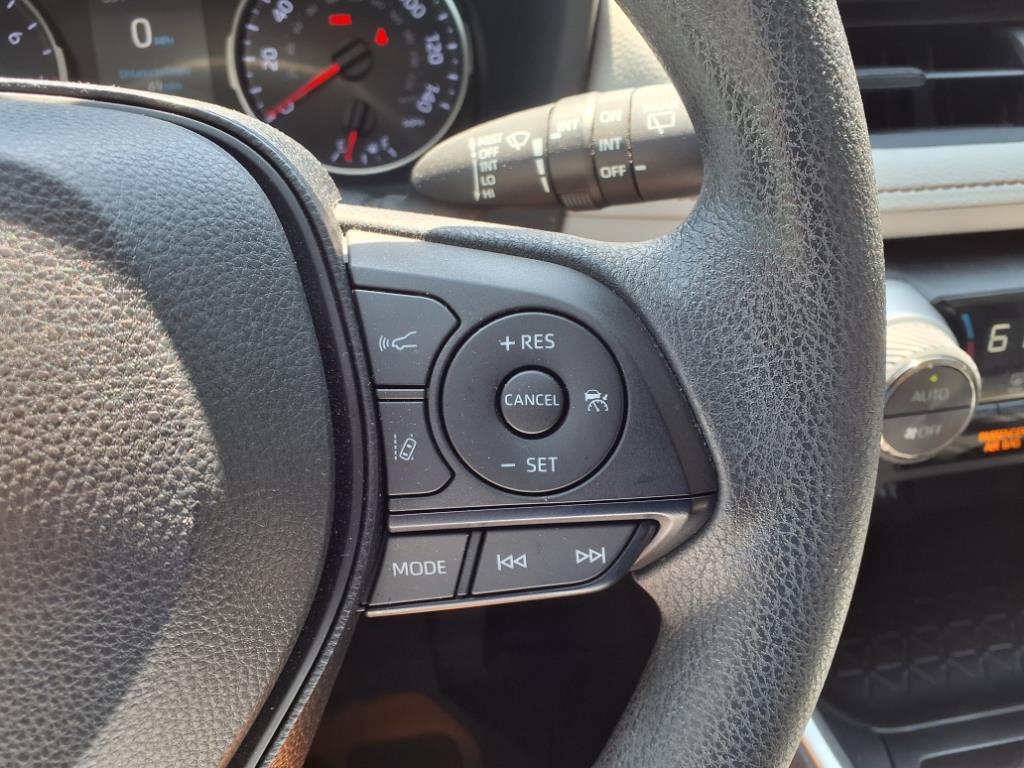 2019 Toyota RAV4 XLE - 10