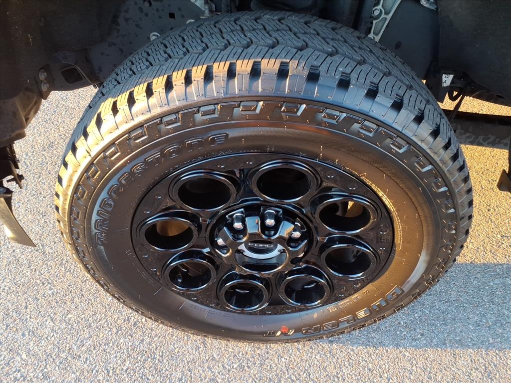 2024 Ford F-250 Super Duty Platinum