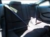 2014 Ford Mustang GT